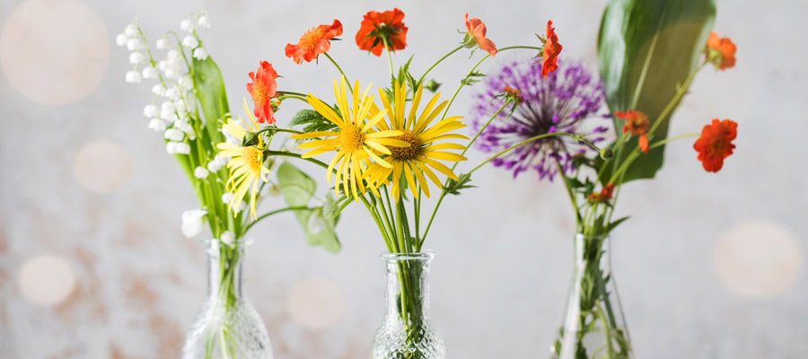 Blumen in Vasen (Bild: Magnific)